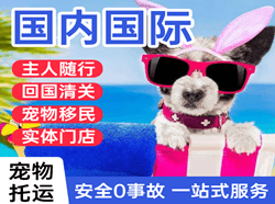 普宁航空快递国际宠物托运 【国